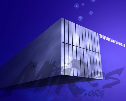 TMX: SQUAREDWHALE